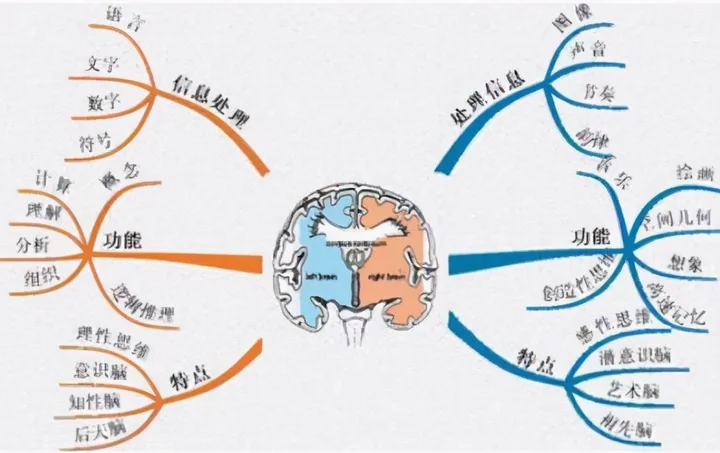 开云集团-麻省理工最新研究：父母多和娃聊天，能让大脑发育更好，更聪明